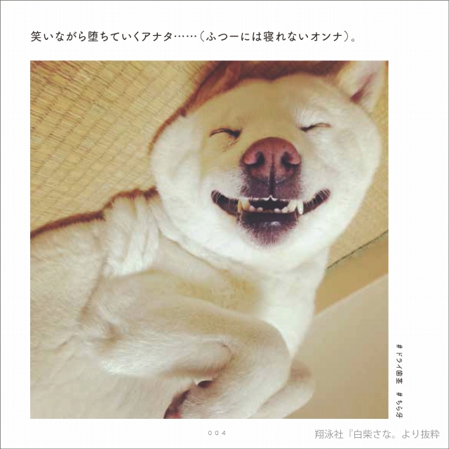 「白柴さな。」(翔泳社)から