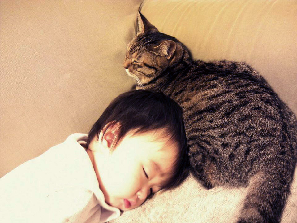 日貿出版社提供