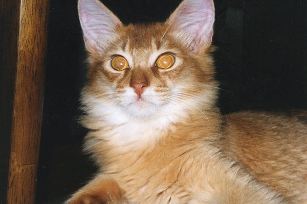 食いしん坊で、いつも堂々としていた