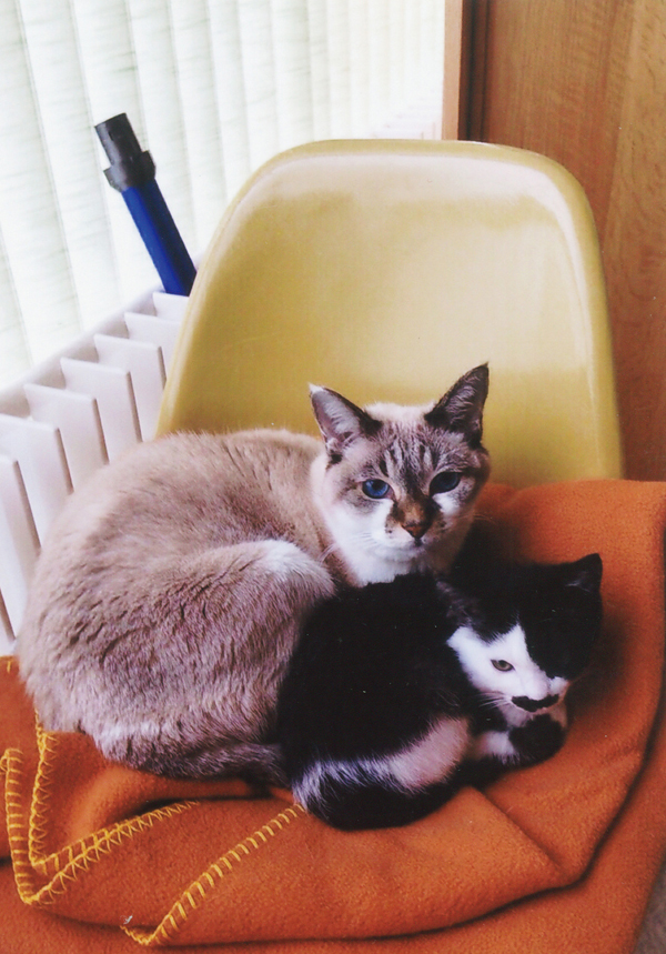 日貿出版社提供