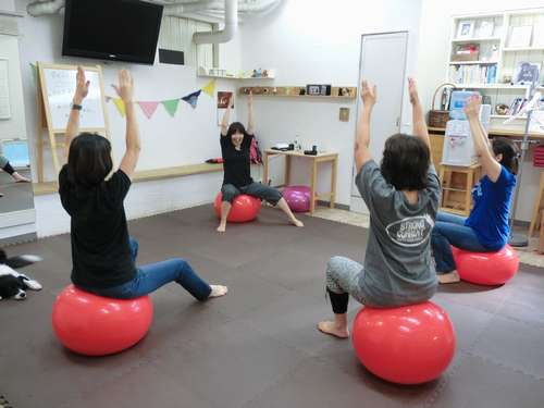 飼い主たちもバランスボールでエクササイズ=東京都世田谷区の「Dog Life Design」