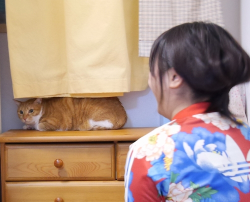 久々に対面したねこねこ亭スタッフと「表情が変わりましたね」