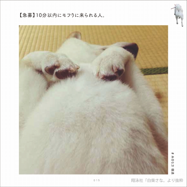 「白柴さな。」(翔泳社)から