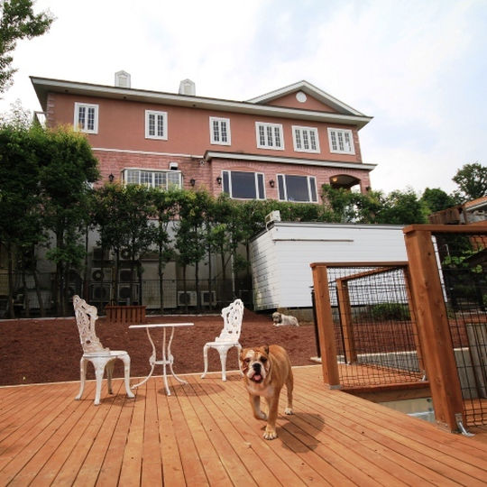 8位 伊豆高原 ドッグリゾート ONE MORE(ワンモア) 外観