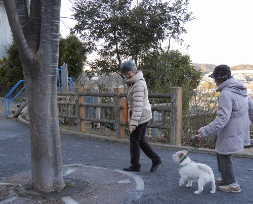 公園で娘のりかさんが、犬と一緒の歩き方をチェック
