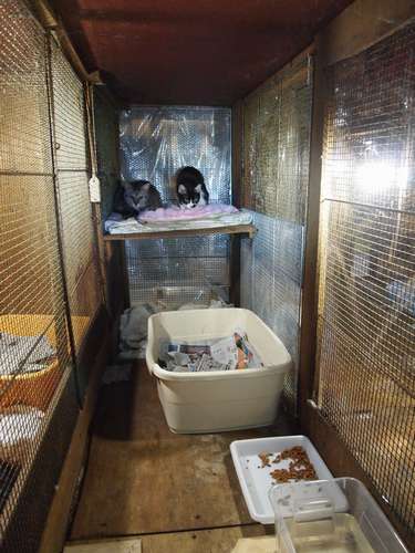 どこが猫舎でどこが通路か分からなくなるような間取り=北九州市