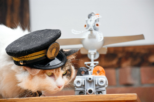 「たまジェット」と並ぶニタマ駅長=2016年4月29日、和歌山県紀の川市貴志川町