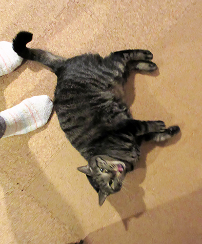 回転を終えて、キメの表情