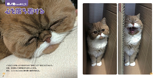 『ねこのおしごと』より