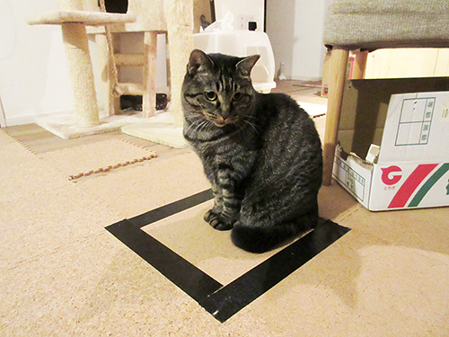 意外と安心する。