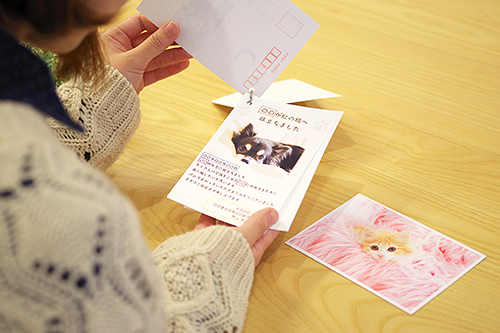 ペット用喪中はがきのサンプル