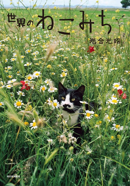 「世界のねこみち」から