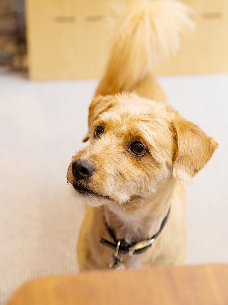 人が大好きなビート君、この日の撮影でもスタッフ一人ひとりにご挨拶。