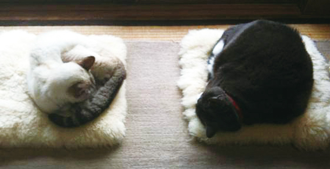 日貿出版社提供