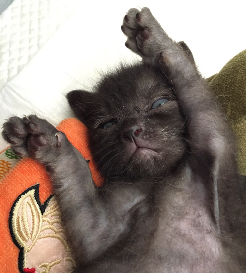 授乳のため花屋(馬鈴花)に通った頃