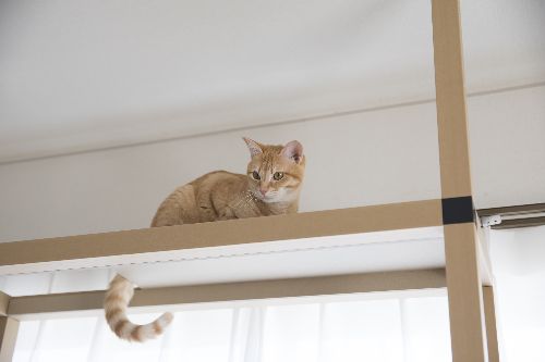 五十嵐健太撮影