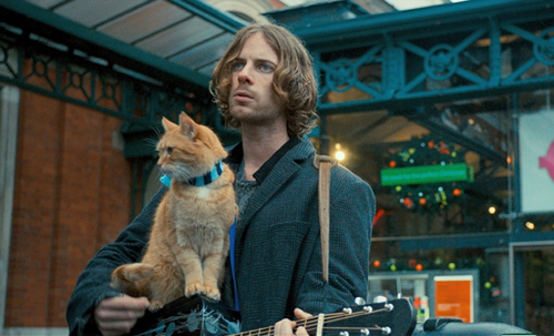 (c)2016 STREET CAT FILM DISTRIBUTION LIMITED ALL RIGHTS RESERVED.