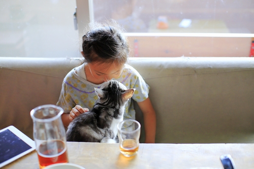 「ライガー」と8歳のひなちゃん 祥伝社/ケニア・ドイ