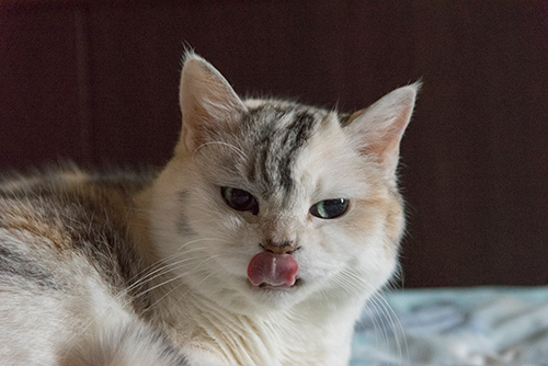 ちょっぴり緊張