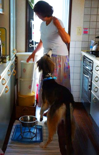 ごはんはまだ?食べることが大好き