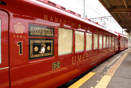 うめ星電車の外装には、初代たま駅長や梅をモチーフにしたロゴマークが描かれている=和歌山市の和歌山電鉄伊太祈曽駅