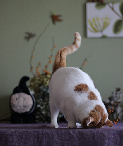 宜しくお願い致します