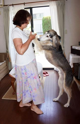 ちゃんと立ちあがるともっと背が高いよ