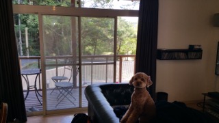 6位 ヴィラ西湖 部屋イメージ