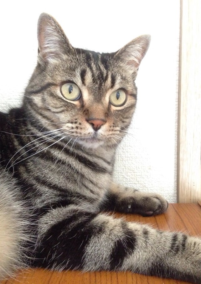 14歳になったクーカイ。名前は空海上人より