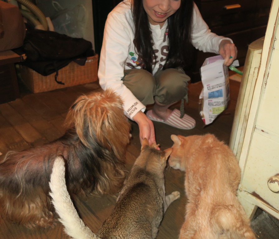 よーちゃん、ピナ、ルンルンにおやつをあげる、のりこさん