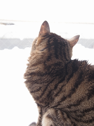 忘れないよ 大好き