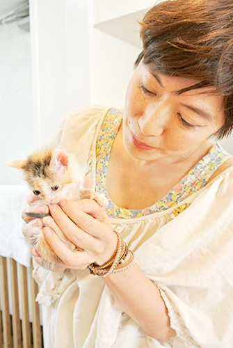 ミグノンに保護されている猫