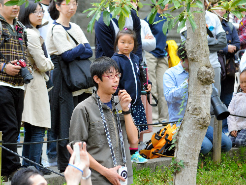 イベント「サーバルジャンプ」で、サーバルの生態について説明する飼育員の新崎慶太さん=東京都日野市の多摩動物公園