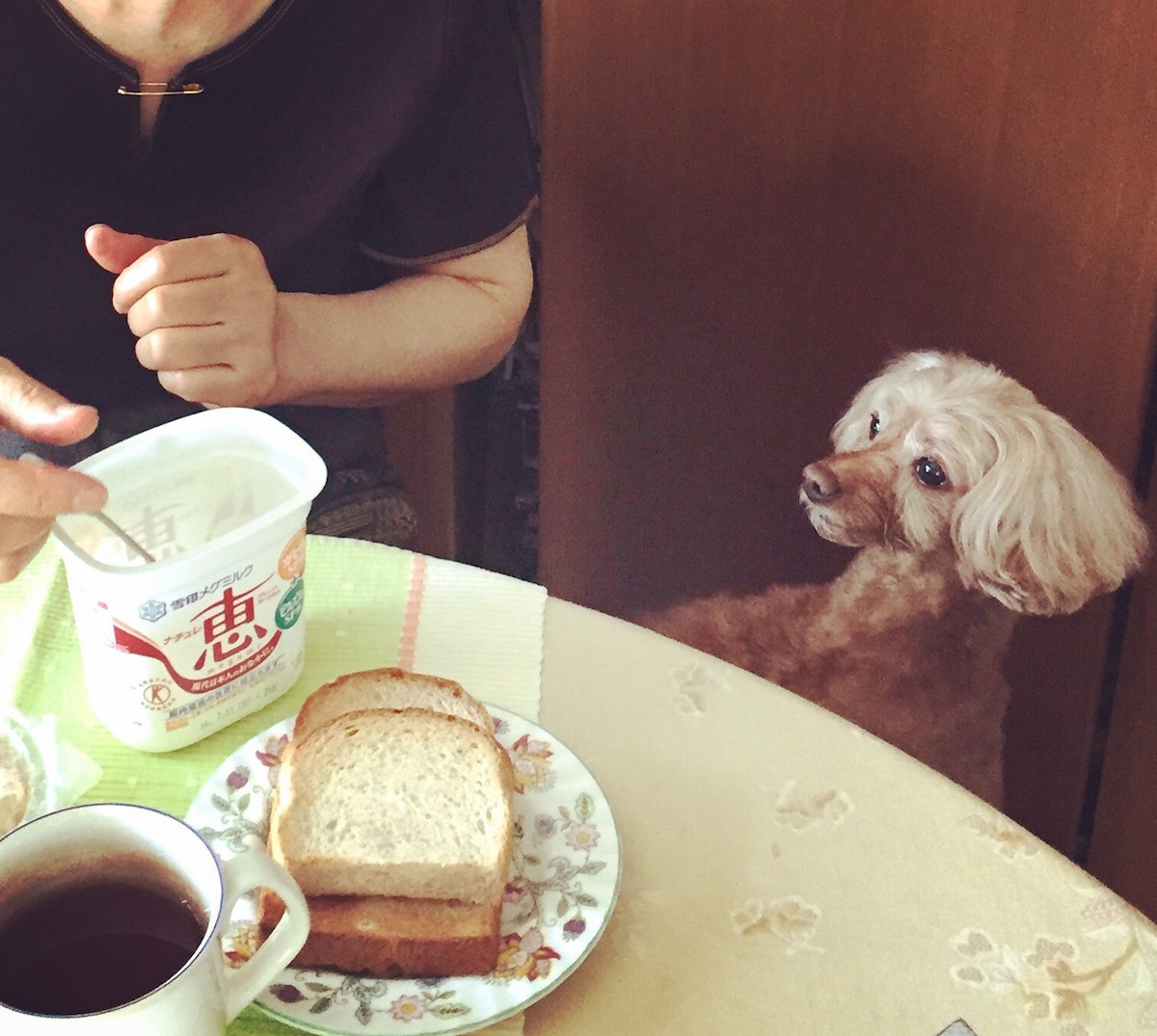 「ヨグヨグ、くっださいな~♪」。このおねだりに母メロメロ。