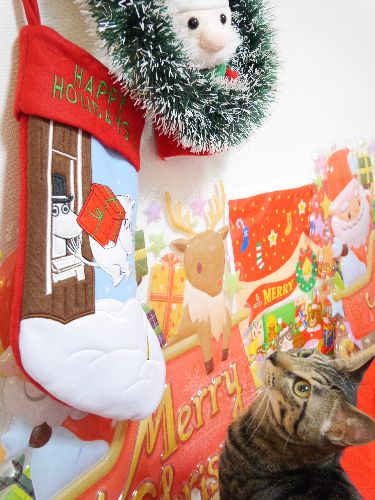 そこのチビサンタさん、下りてきて