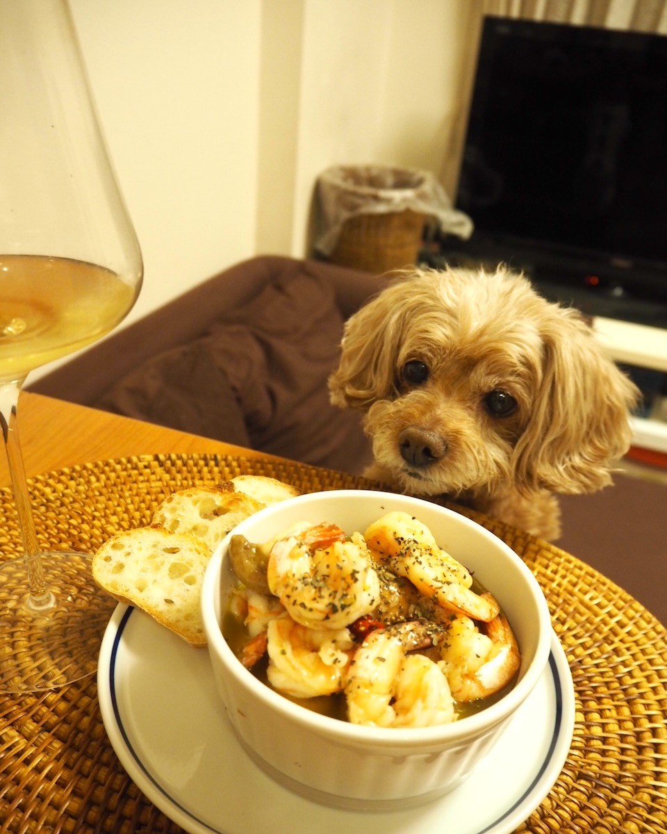 オカン特製「ぷりぷりエビのアヒージョ」はスペインの白ワインとともに。「オカンよ、アタチにかこつけて今夜も飲もうとしておるな……」。バレたか(汗)。