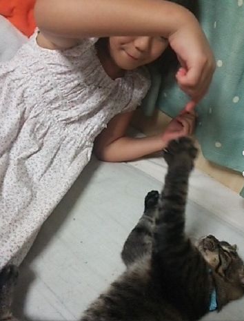 保護して「翼」ちゃんと名づけた(亜子さん撮影)