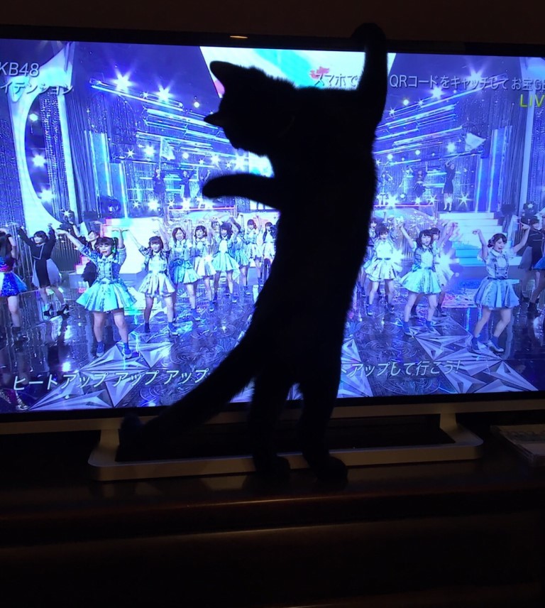 AKBの歌に合わせて踊り狂う龍。押しメンは内緒なのさ