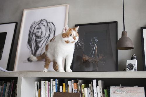 写真=井上佐由紀