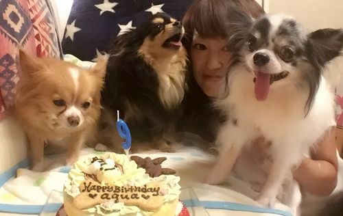 アクアの誕生日を皆で祝う