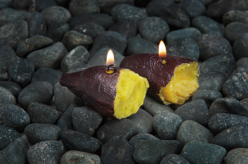 焼き芋が大好きだったペットも多いのでは?