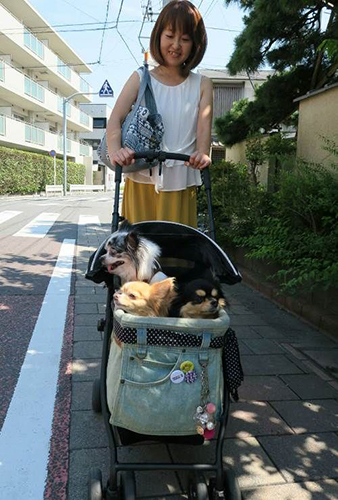 愛犬を乗せたバギーを押すあゆみさん