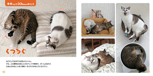 『ねこのおしごと』より