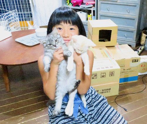 「猫や犬は人と姿が違って言葉も話せないけど、心は、同じなんだよ」