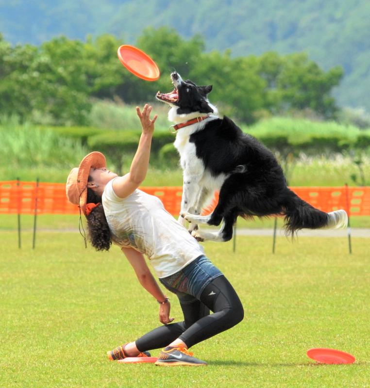 円盤遊具の技を披露する人と、その愛犬=高知県四万十市