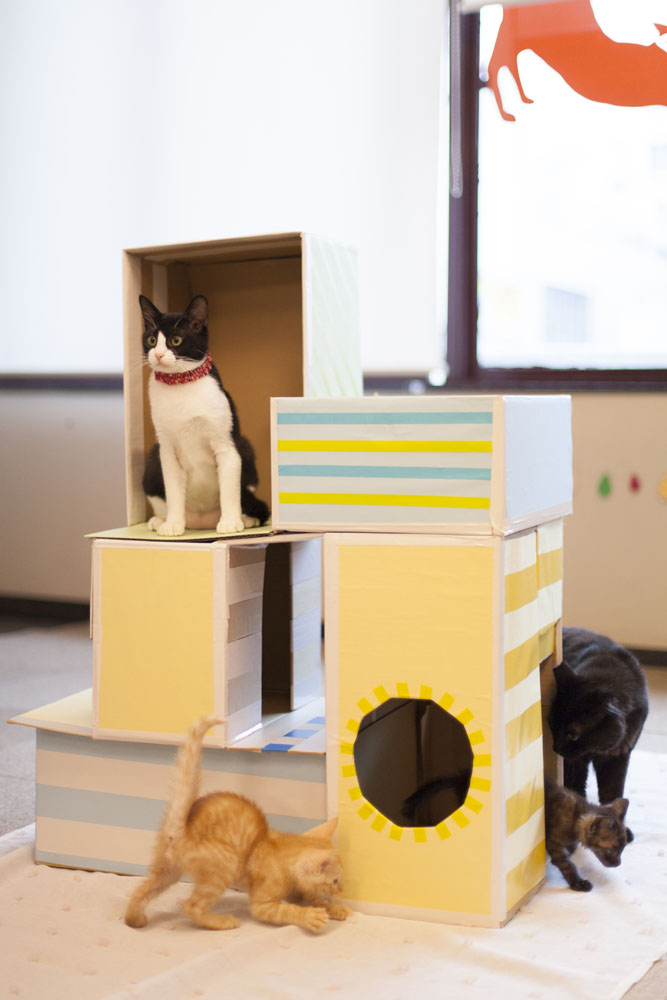 撮影:五十嵐健太