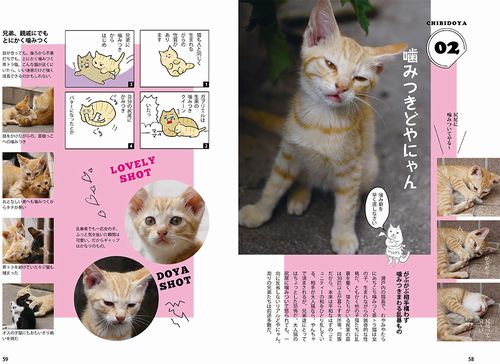 「どやにゃん」(辰巳出版、南幅俊輔著)より