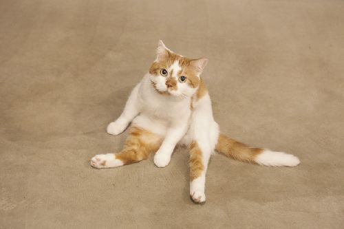 写真=井上佐由紀