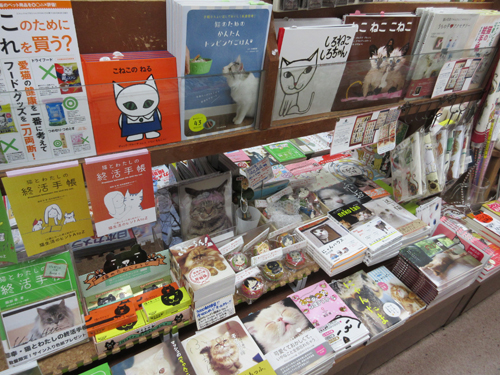 猫の表紙がズラリ。