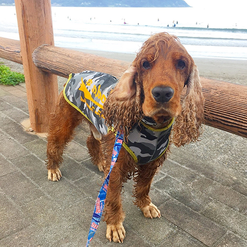 いい波乗れたかな